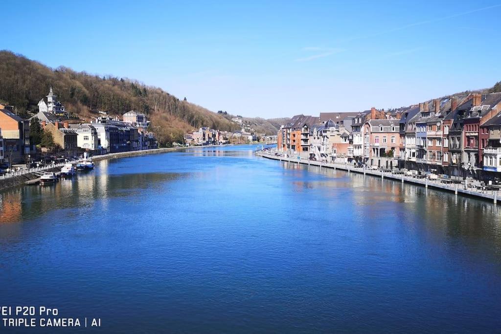 Vue Sur Meuse Avec Jacuzzi Et Sauna Exterieur. Yvoir Exterior foto